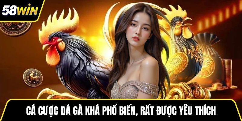 Cá cược đá gà khá phổ biến, rất được yêu thích