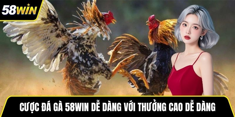 Cược đá gà 58WIN dễ dàng với thưởng cao dễ dàng