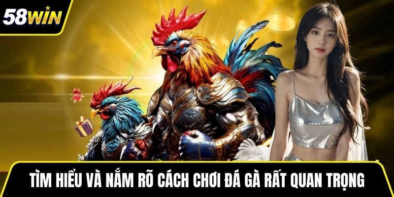 Tìm hiểu và nắm rõ cách chơi đá gà rất quan trọng